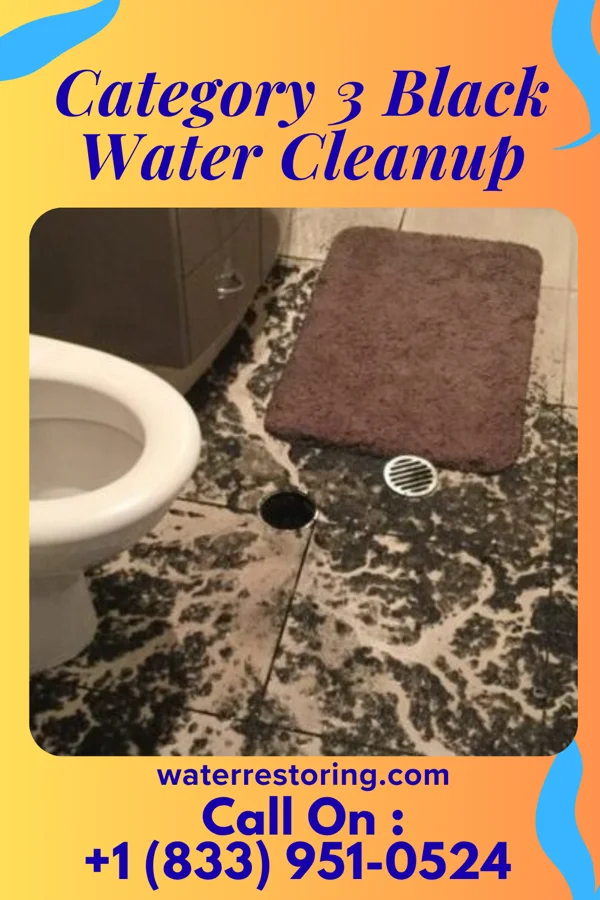 Category 3 Black Water Cleanup in Goulds, FL
